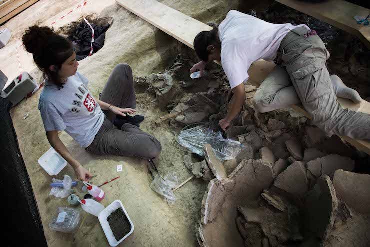 Scoperta a Corinaldo una tomba monumentale picena del  VII sec a.C.