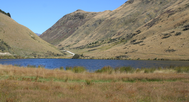 feci