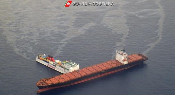 santuario dei cetacei