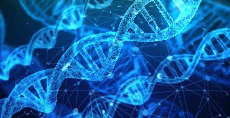 bambini geneticamente modificati