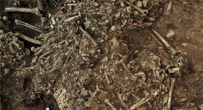 peste yrsinia pestis