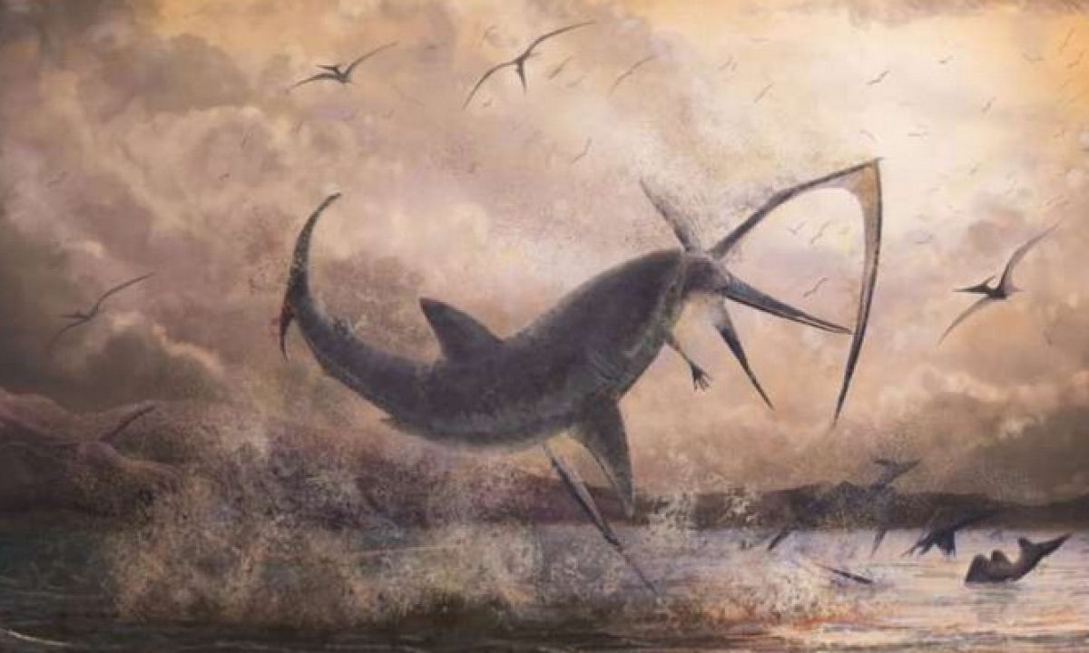 Scena di caccia nel Cretaceo: l'agguato dello squalo a un gigante del cielo  - Galileo