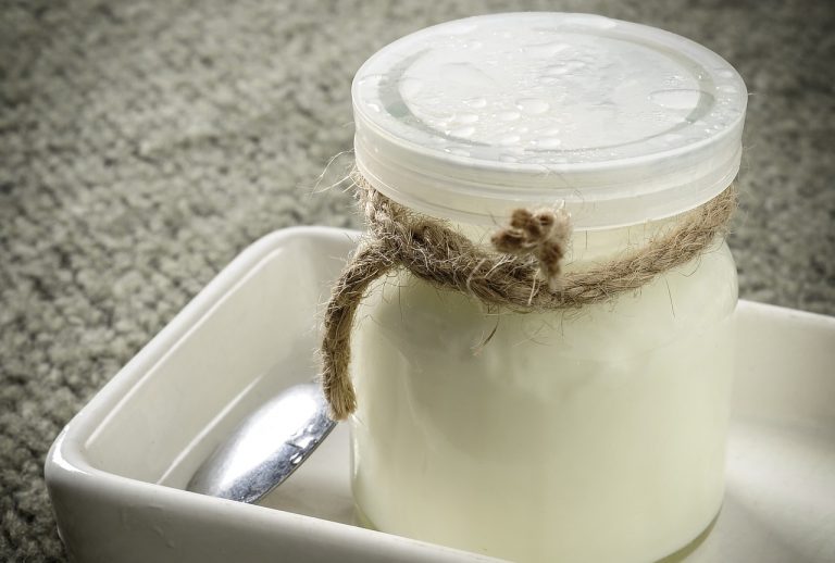 fermenti lattici probiotici yogurt lattobacilli