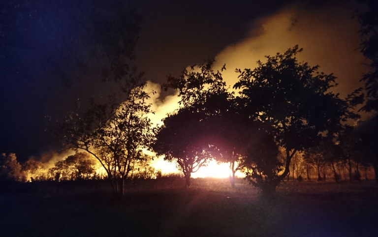 terra antropocene incendi