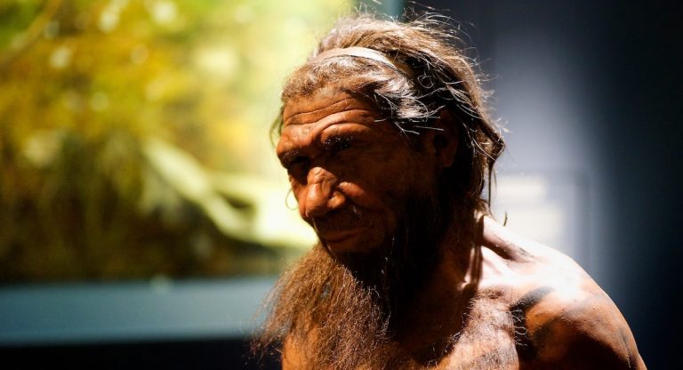 neanderthal