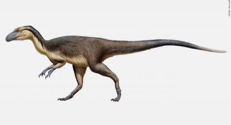 dinosauro