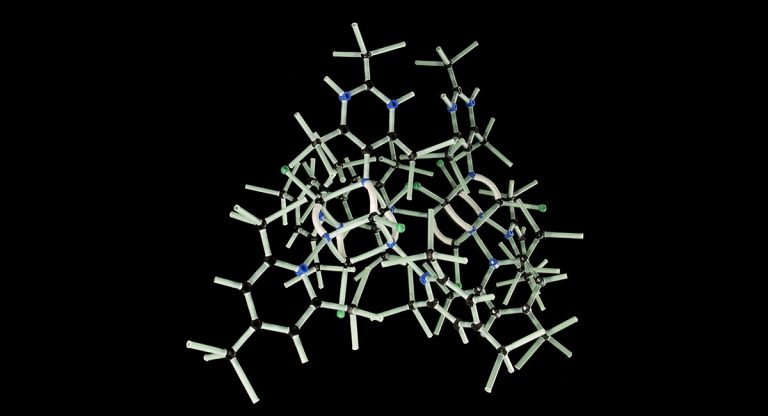 Ecco la biomolecola quantistica: è onda e particella allo stesso tempo