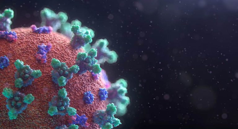 test coronavirus