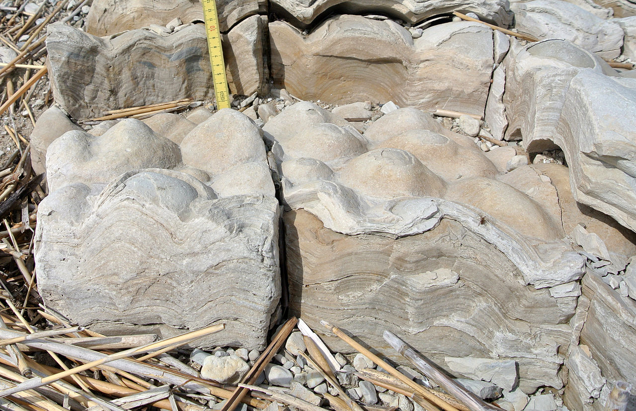 stromatoliti origine vita fossili