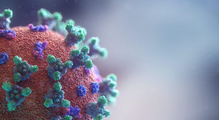focolaio anticorpo monoclonale