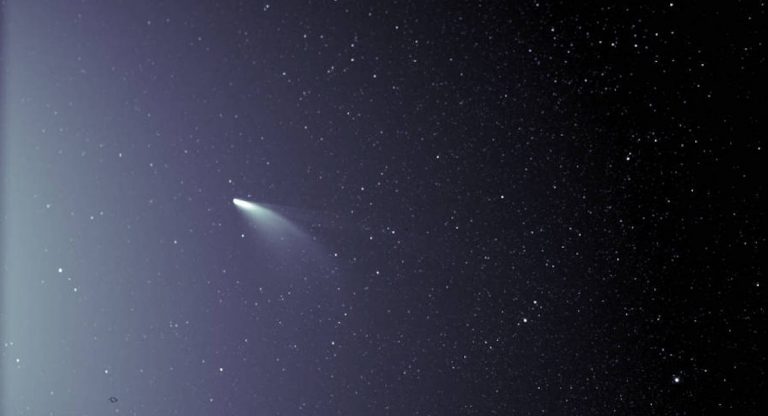 neowise