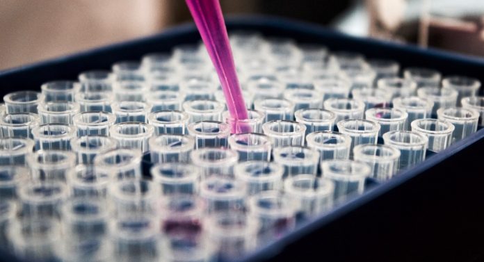 Anticorpi monoclonali