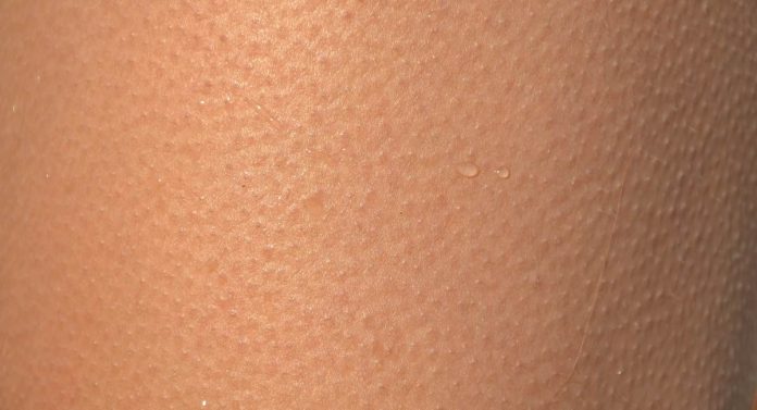 pelle d'oca