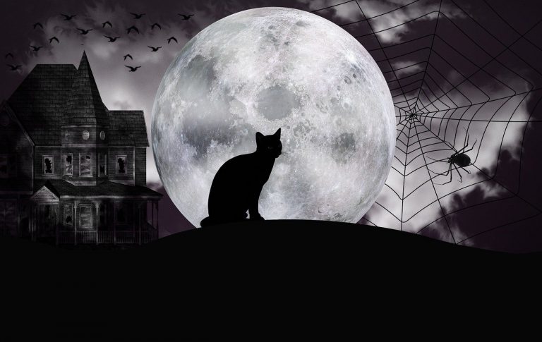 halloween luna blu luna piena