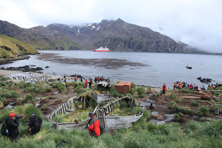 south georgia Georgia del sud balenenottera azzurra balenieri