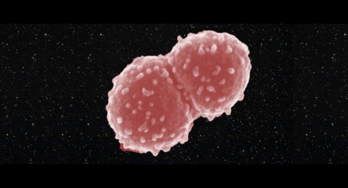 deinocossus radiodurans