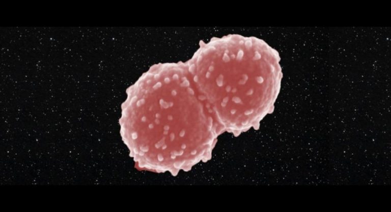 deinocossus radiodurans