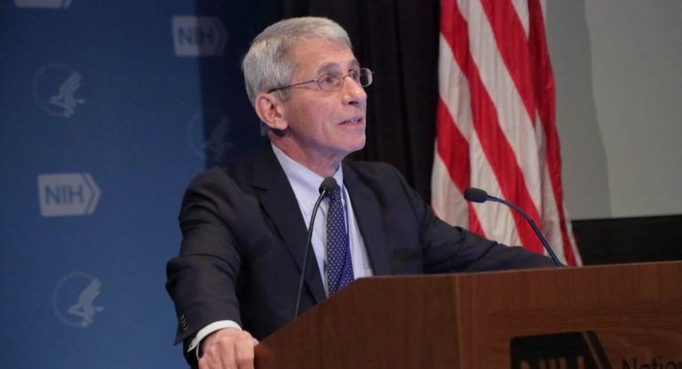 fauci covid-19