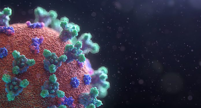 immunità
