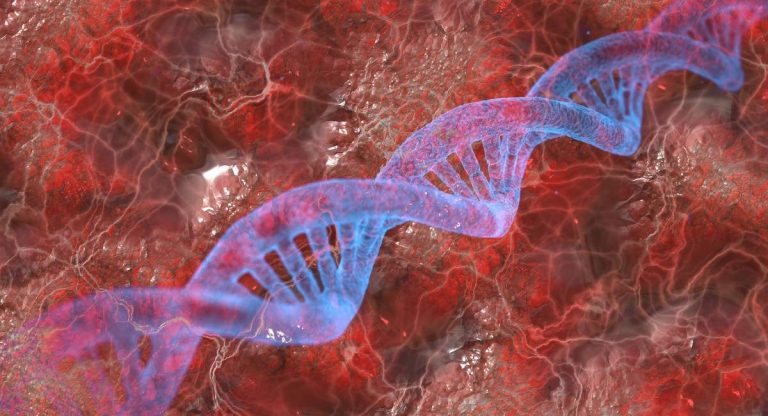 dna
