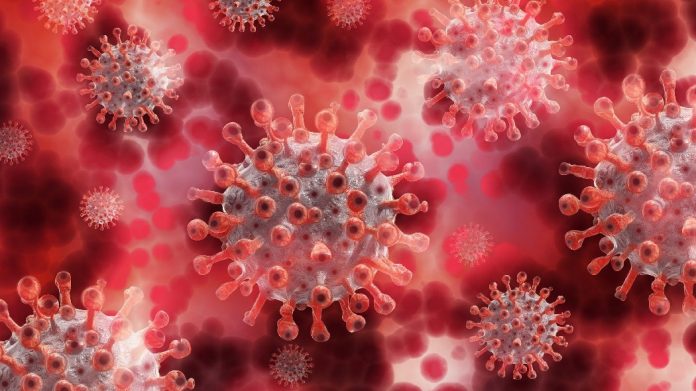 immunità