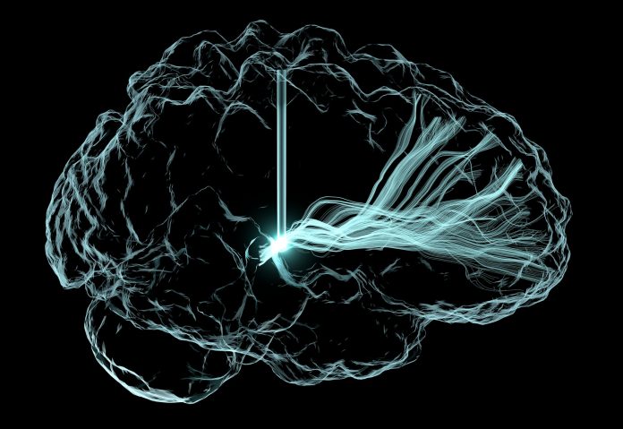 cervello potenziamento cognitivo neuroenhancement