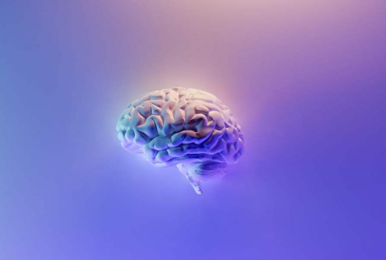 neuroni cervello umano