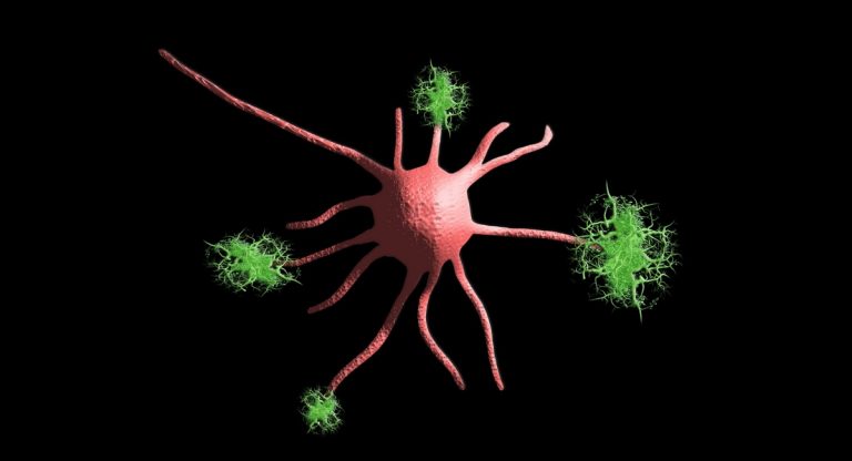 mononucleosi