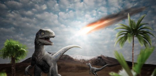 dinosauri