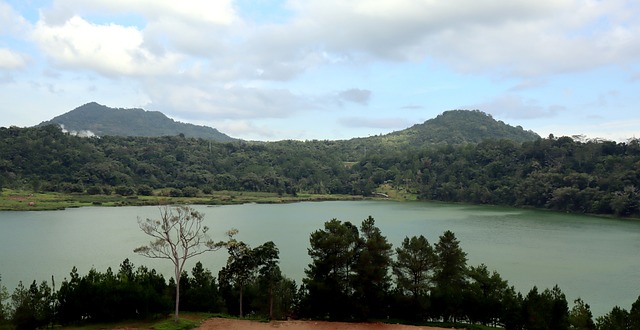 La prima opera d’arte fu dipinta più di 50mila anni fa