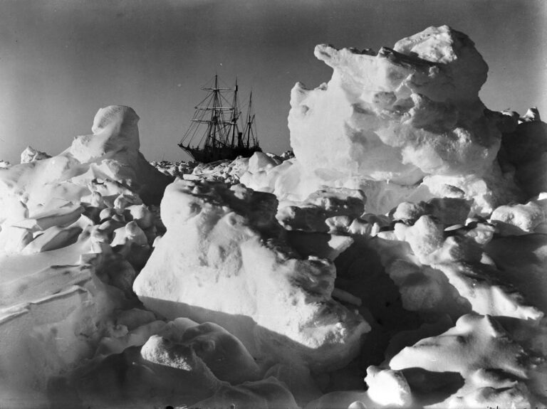 Shackleton