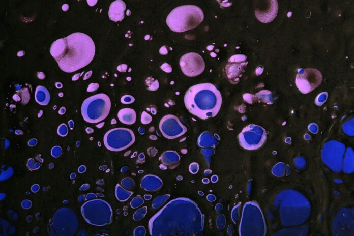 cellule