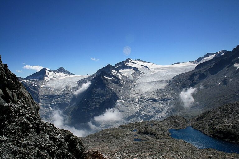 Appena scoperto e già estinto? Il verme fantasma dei ghiacciai alpini