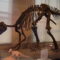 Anche i dinosauri erano dei genitori amorevoli