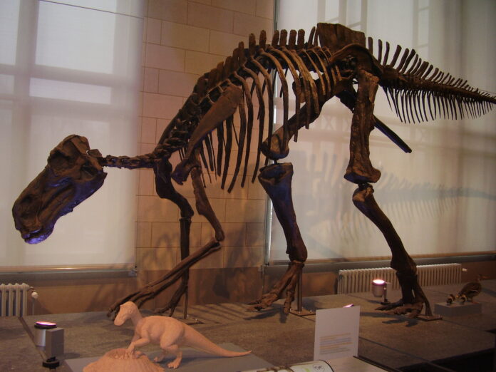 dinosauri