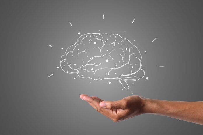 neurologia