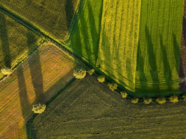 Nutrire il pianeta senza distruggerlo: la sfida dell’agroecologia