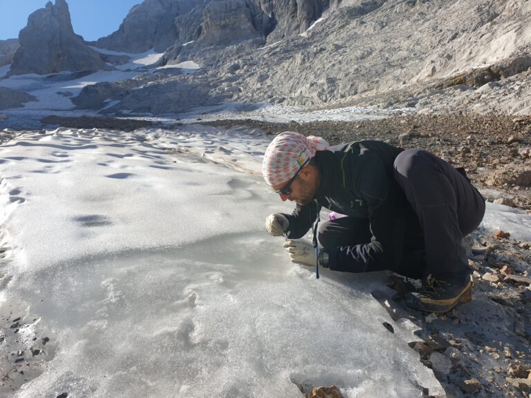 Clima, con i ghiacciai scompaiono anche i tardigradi