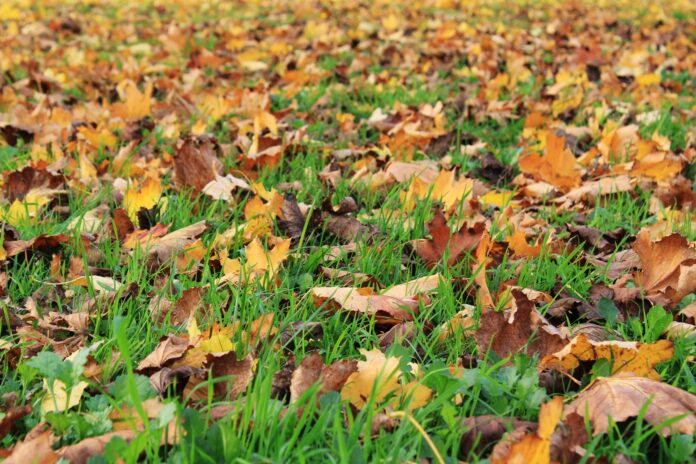 autunno