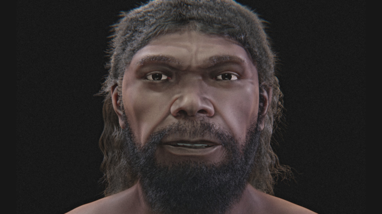 sapiens