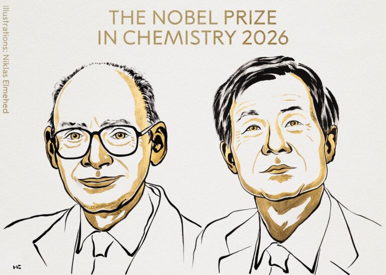 nobel per la chimica