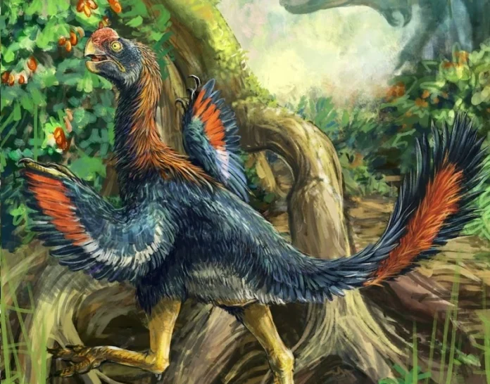 fruttariano