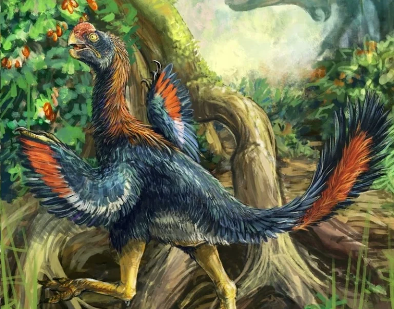 fruttariano