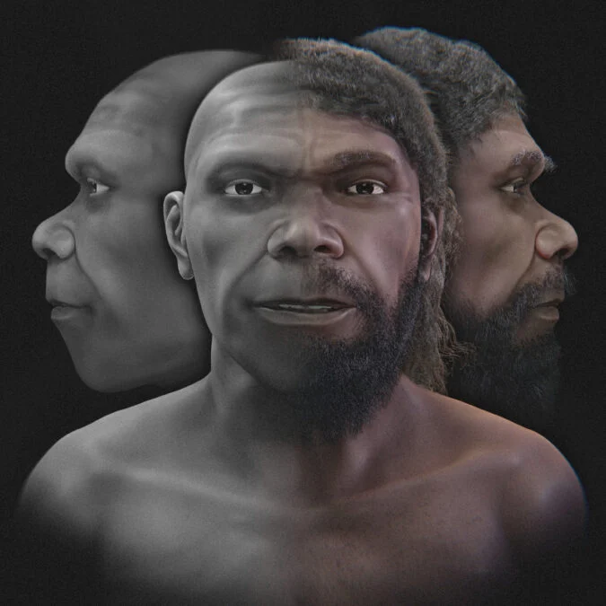 sapiens
