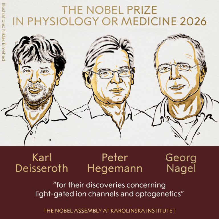 nobel medicina